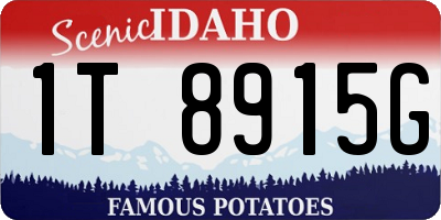 ID license plate 1T8915G