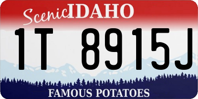 ID license plate 1T8915J