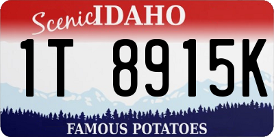 ID license plate 1T8915K