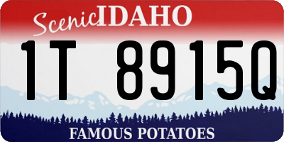 ID license plate 1T8915Q