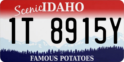 ID license plate 1T8915Y