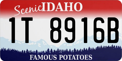 ID license plate 1T8916B