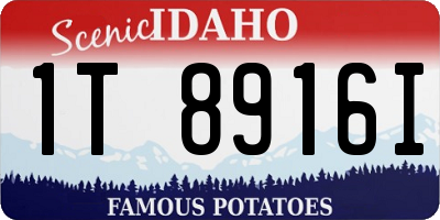 ID license plate 1T8916I
