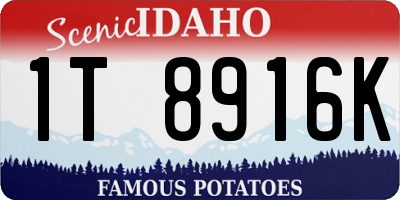 ID license plate 1T8916K