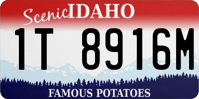 ID license plate 1T8916M