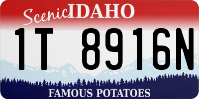 ID license plate 1T8916N