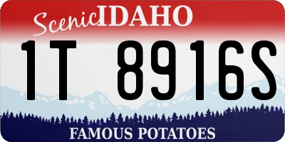 ID license plate 1T8916S