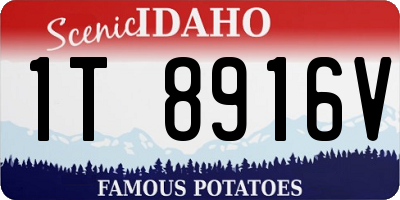ID license plate 1T8916V