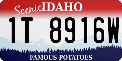 ID license plate 1T8916W