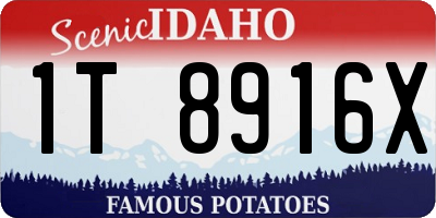 ID license plate 1T8916X