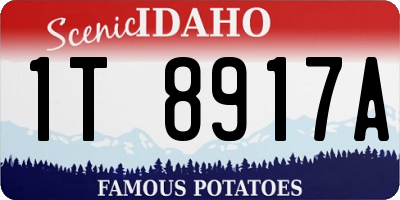 ID license plate 1T8917A