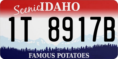 ID license plate 1T8917B