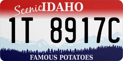 ID license plate 1T8917C