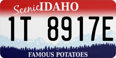 ID license plate 1T8917E