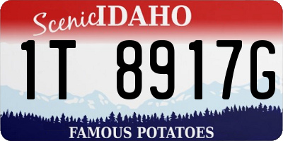 ID license plate 1T8917G