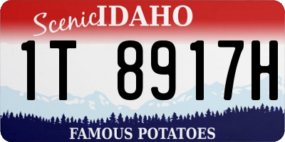 ID license plate 1T8917H