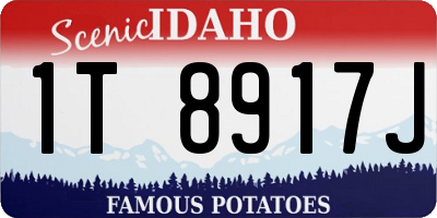 ID license plate 1T8917J