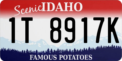 ID license plate 1T8917K