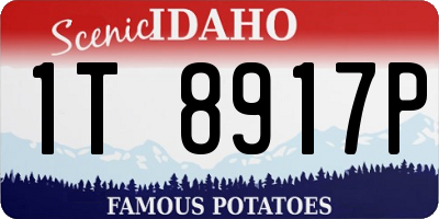 ID license plate 1T8917P