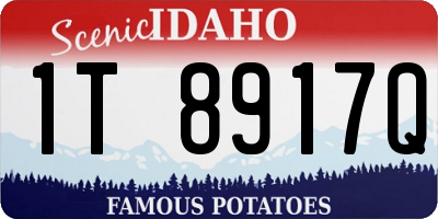 ID license plate 1T8917Q
