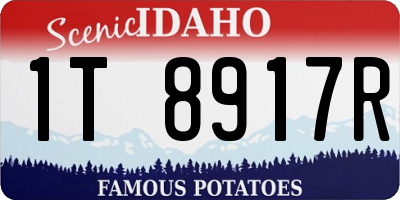 ID license plate 1T8917R