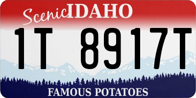 ID license plate 1T8917T