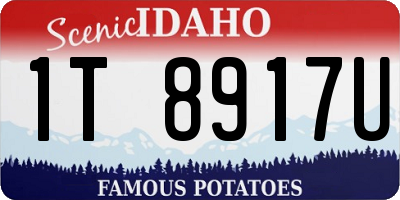 ID license plate 1T8917U