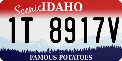 ID license plate 1T8917V