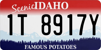 ID license plate 1T8917Y