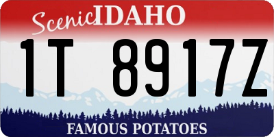 ID license plate 1T8917Z