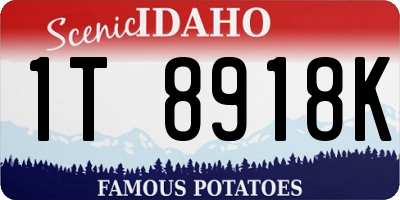 ID license plate 1T8918K