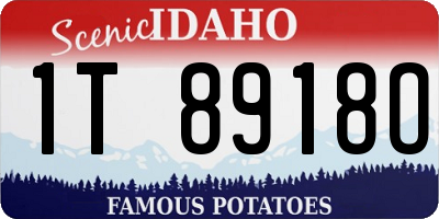 ID license plate 1T8918O