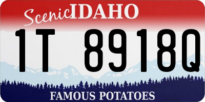 ID license plate 1T8918Q