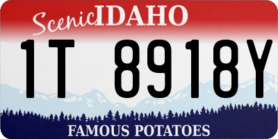 ID license plate 1T8918Y