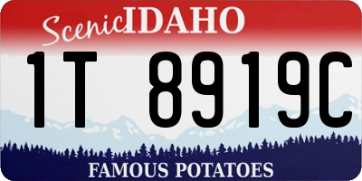 ID license plate 1T8919C