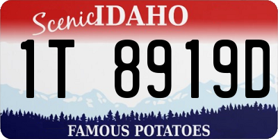 ID license plate 1T8919D