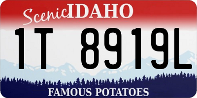 ID license plate 1T8919L