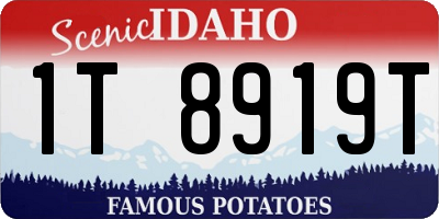 ID license plate 1T8919T