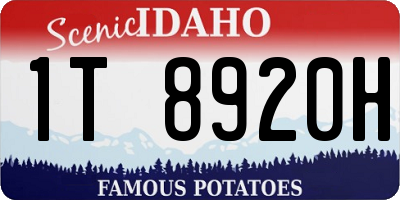 ID license plate 1T8920H