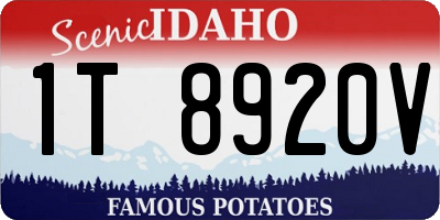 ID license plate 1T8920V