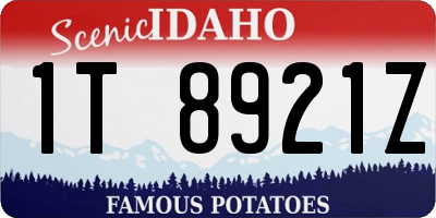 ID license plate 1T8921Z