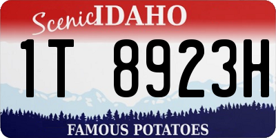 ID license plate 1T8923H