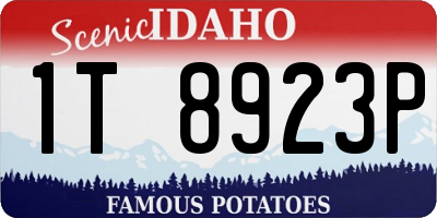 ID license plate 1T8923P