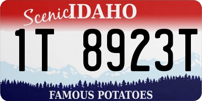 ID license plate 1T8923T