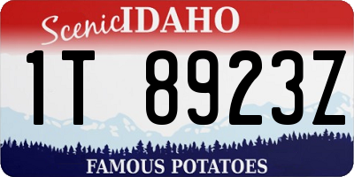 ID license plate 1T8923Z