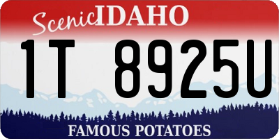 ID license plate 1T8925U