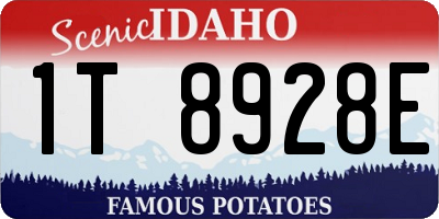 ID license plate 1T8928E