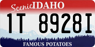 ID license plate 1T8928I