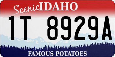 ID license plate 1T8929A
