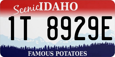 ID license plate 1T8929E